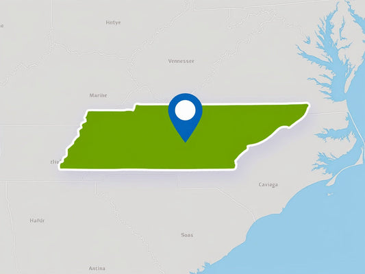 GPS Tracking Laws In Tennessee